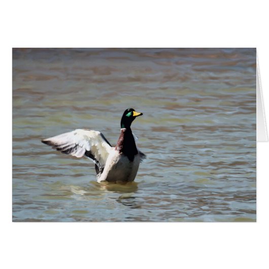 Standing Bear Lake Single Mallard (Front Horizontal)