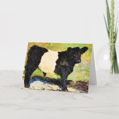 Standing Belted Galloway steer calf Blank Inside Holiday Card