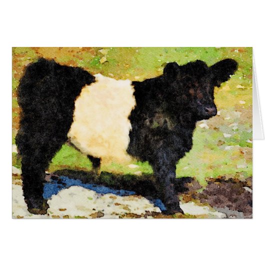 Standing Belted Galloway steer calf Happy Birthday (Front Horizontal)