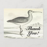 [ Thumbnail: Standing Bird "Thank You!" Postcard ]