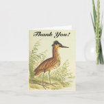 [ Thumbnail: Standing Bird, Vintage Look, "Thank You!" Postcard ]