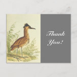 [ Thumbnail: Standing Bird, Vintage Look, "Thank You!" Postcard ]