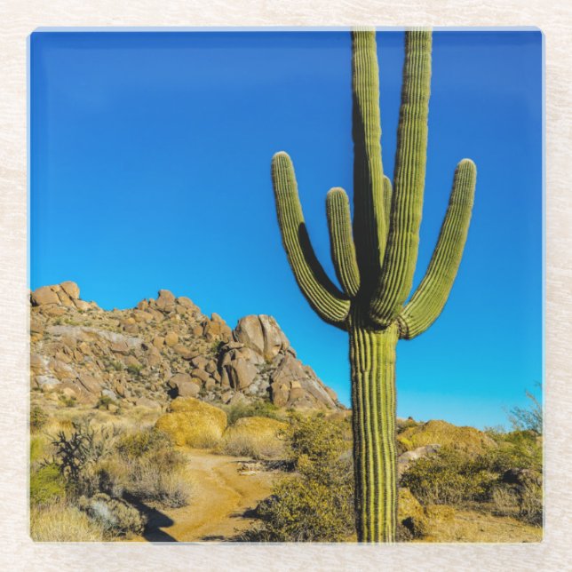 Standing Cactus Glass Coaster (Front)
