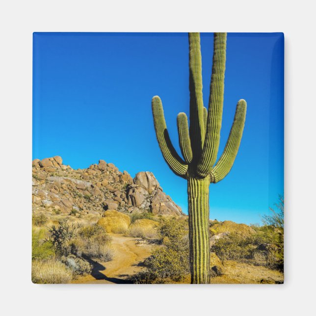 Standing Cactus Magnet (Front)