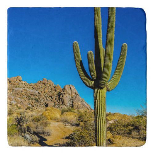 Standing Cactus Trivet