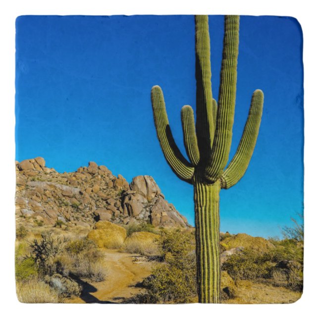 Standing Cactus Trivet (Front)