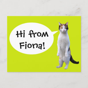 Standing Cat Custom Message Fun Postcard
