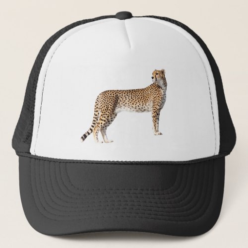 Standing cheetah trucker hat