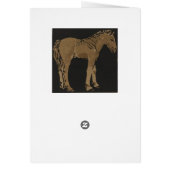 Standing Colt Cards (Back)
