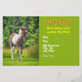 Standing Dartmoor Pony Foal flyer invites