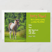 Standing Dartmoor Pony Foal flyer invites (Front/Back)