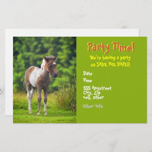 Standing Dartmoor Pony Foal flyer invites (Front/Back)