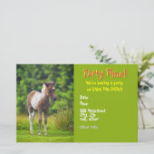 Standing Dartmoor Pony Foal flyer invites (Standing Front)