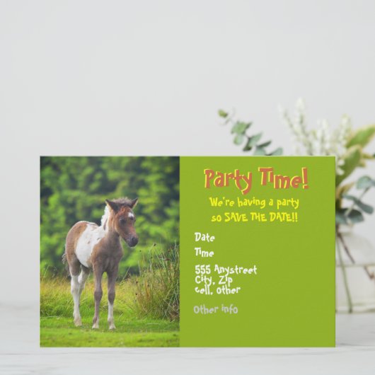 Standing Dartmoor Pony Foal flyer invites (Standing Front)