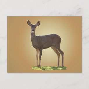 STANDING DEER POSTCARD