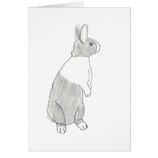 Standing Dutch Rabbit (Blank inside) Cards (Front)