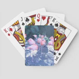 Standing Flamingo Poker Cards