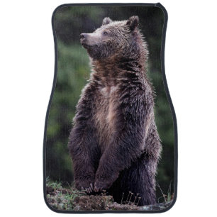 Standing Grizzly Bear Car Mat