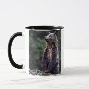 Standing Grizzly Bear Mug