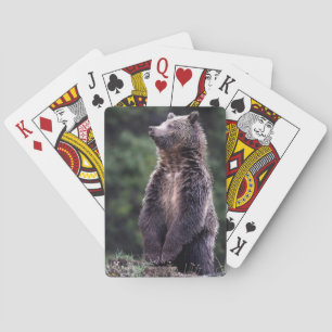 Standing Grizzly Bear Poker Cards