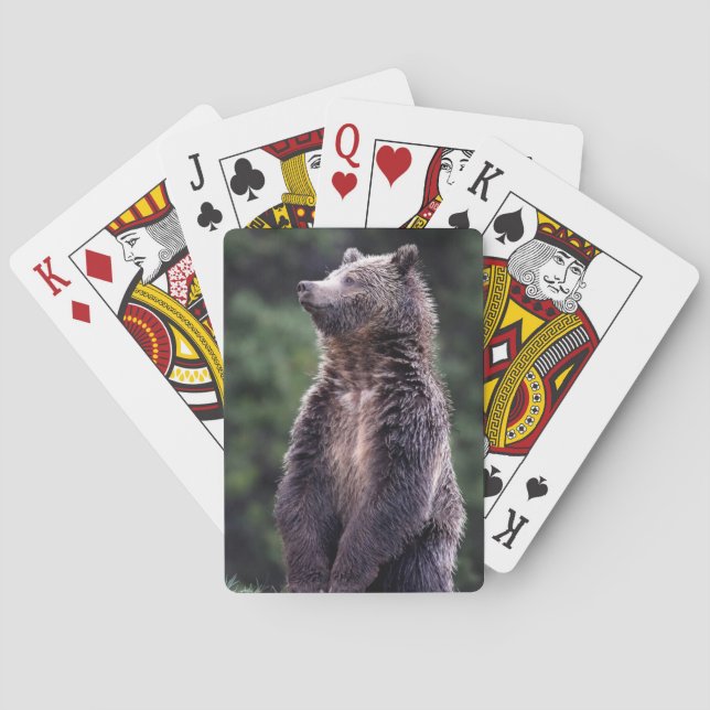 Standing Grizzly Bear Poker Cards (Back)