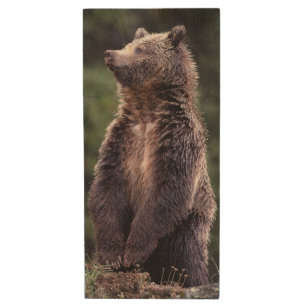 Standing Grizzly Bear Wood USB Flash Drive