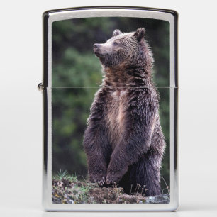 Standing Grizzly Bear Zippo Lighter