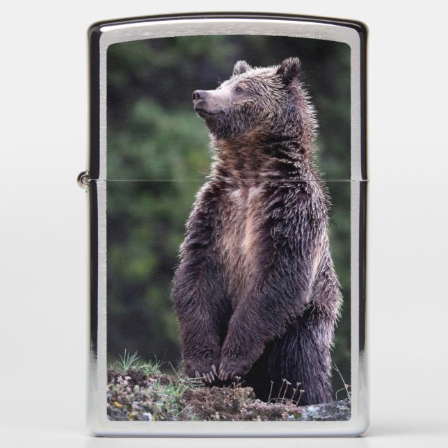 Standing Grizzly Bear Zippo Lighter (Front)