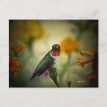 Standing Guard Postcard by Sturgils at Zazzle