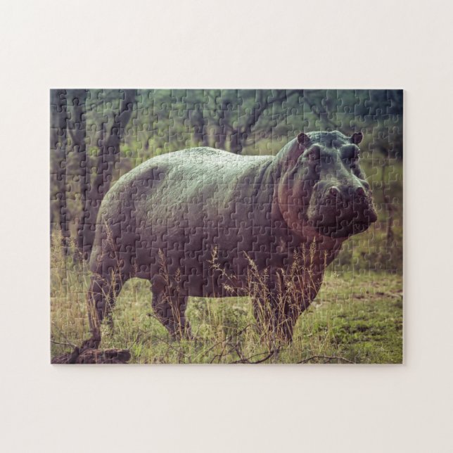 Standing Hippo Posing at Camera in Africa Foliage Jigsaw Puzzle (Horizontal)