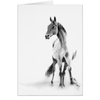 "Standing Horse" Cards