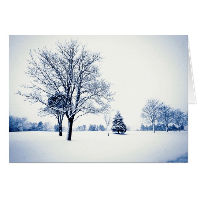 Standing In The Snow Cards (Front Horizontal)