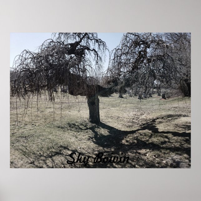 Standing in the wind poster (Front)