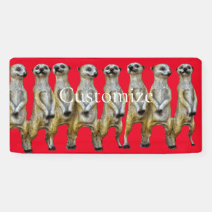 Standing Meerkats Thunder_Cove Banner