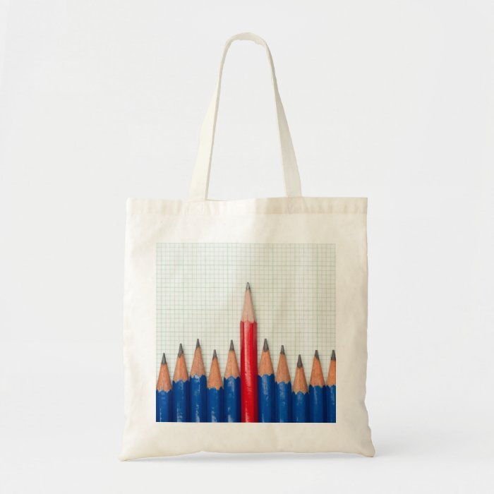 Standing out among others of its kind canvas bags