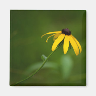 Standing Out Magnet