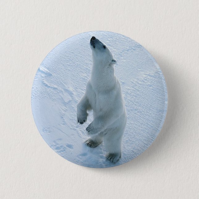 Standing Polar Bear Button (Front)