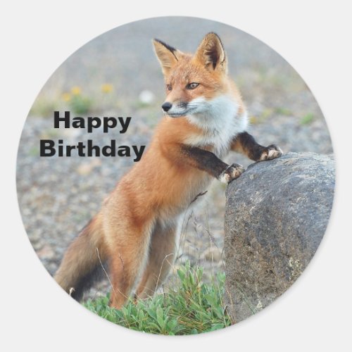 Standing Red Fox Birthday Classic Round Sticker