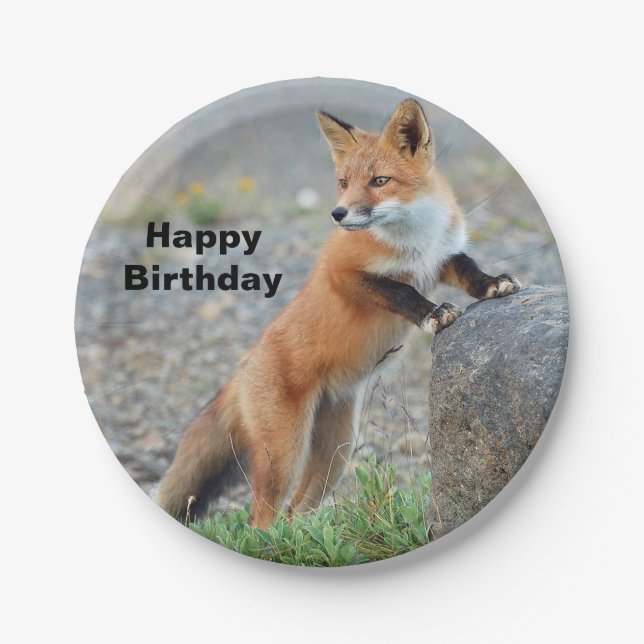 Standing Red Fox Birthday Paper Plates (Front)