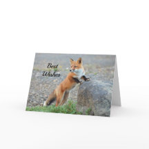 Standing Red Fox Congratulations Wedding