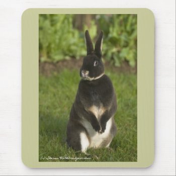 Standing Rex Rabbit Mouse Pad by oinkpix at Zazzle