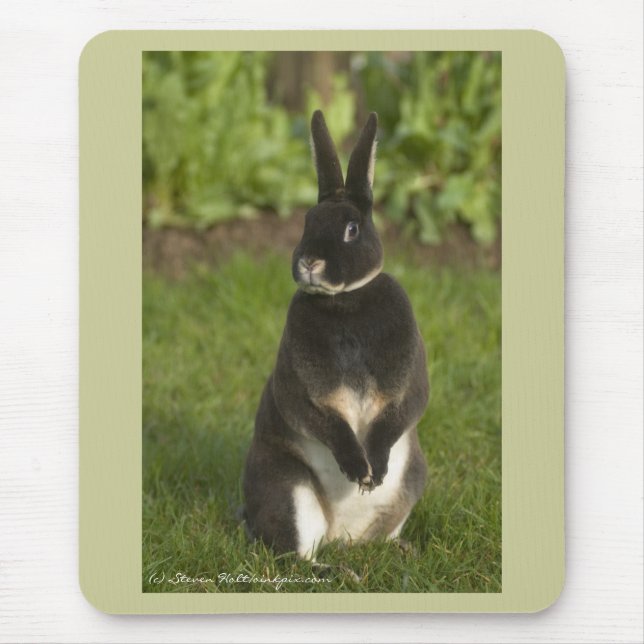 Standing Rex Rabbit Mouse Pad (Front)