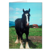 Standing Shire (Front)