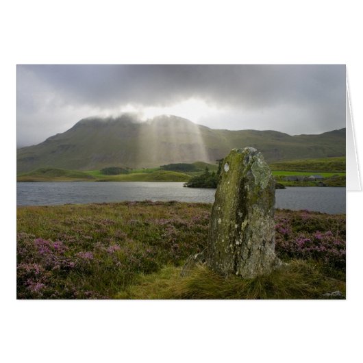 Standing stone cards (Front Horizontal)