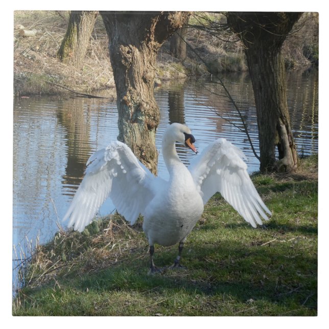 Standing Swan with Spread Wings Ceramic Tile (Front)
