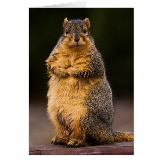 Standing Tall (Front)