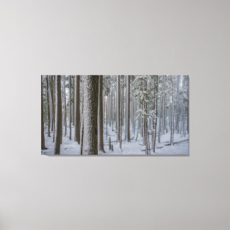 Standing Tall #1 Canvas Print