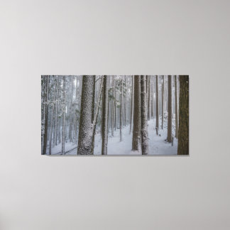 Standing Tall #2 Canvas Print