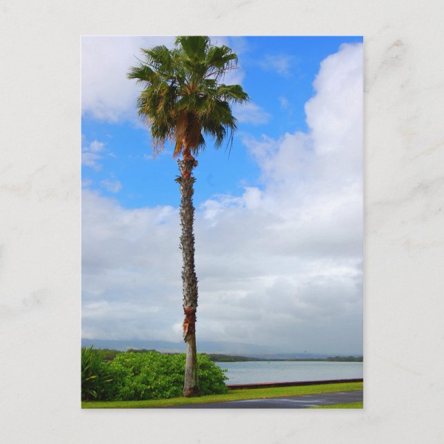 "Standing Tall" postcard (Front)