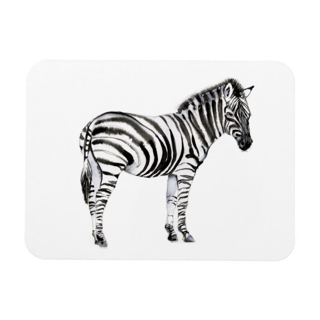 Standing Zebra Magnet (Horizontal)
